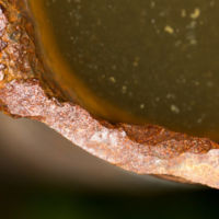 Microbially-Influenced-Corrosion