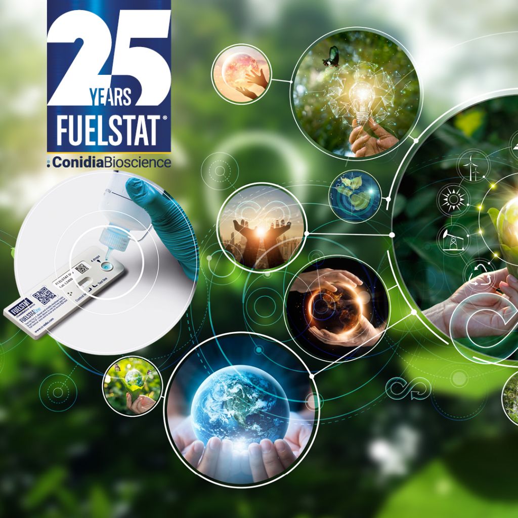 25 Years of Innovation and Our Environmental Pledge: Driving Sustainable Change Together